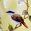 Tabouret en céramique fleur et oiseau-1789698619