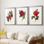Red Botanical I - reproduction encadrée sur mesure de qualité supérieure mate - 3 pièces-1837228766-1837228764