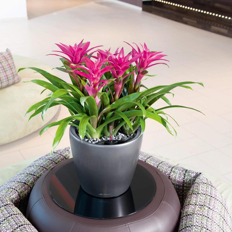 Classico Pot Planter, Charcoal Metallic, 33cm H x 35cm W x 35cm D