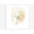 Wrapped Canvas is unavailable