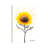 Sunflower Celebration by Ashvin Harrison - Wrapped Canvas Print-1554867874