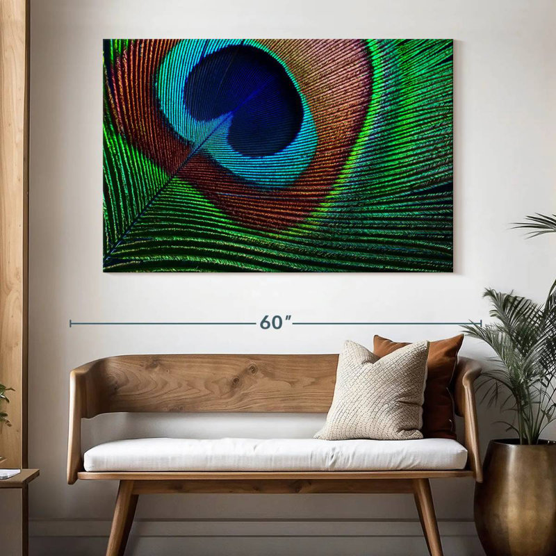 Fine Peacock Feather, 34" H x 51" W