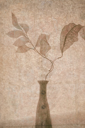 Wrapped Canvas Print, 76.2cm H x 50.8cm W