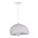 Unusual Pendant Light 1-Light Colbee
