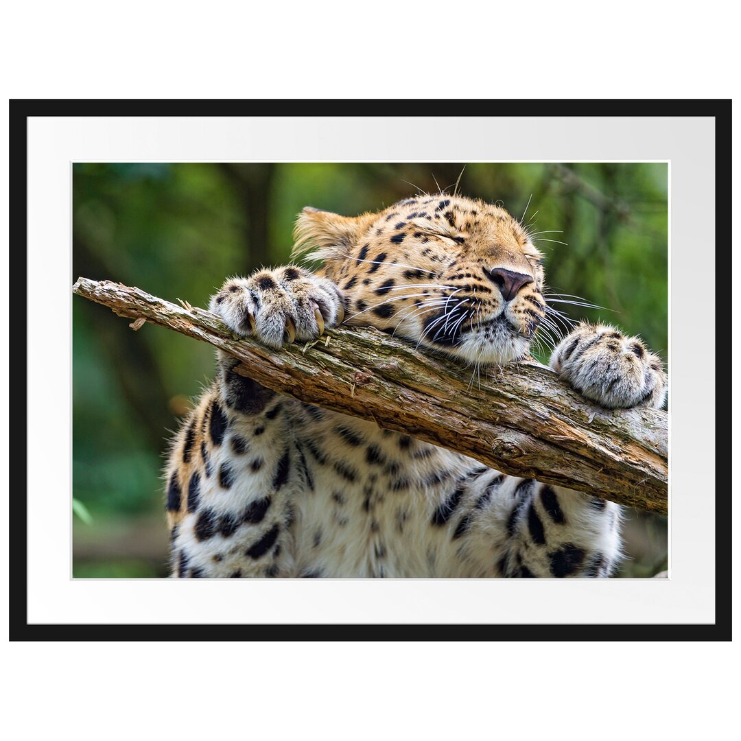 Gerahmtes Poster Verspielter Leopard