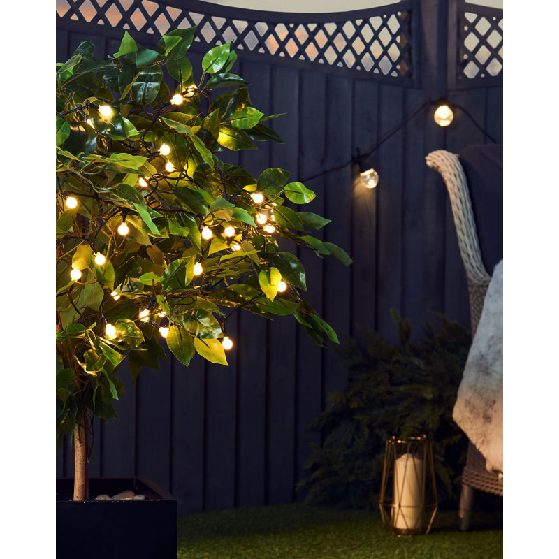 1992.9cm 200 - Bulb Standard String Light