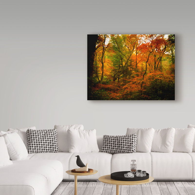 «Deep Woods» par Garv, reproduction de photo sur toile tendue, H 18 po x l 24 po x P 2 po