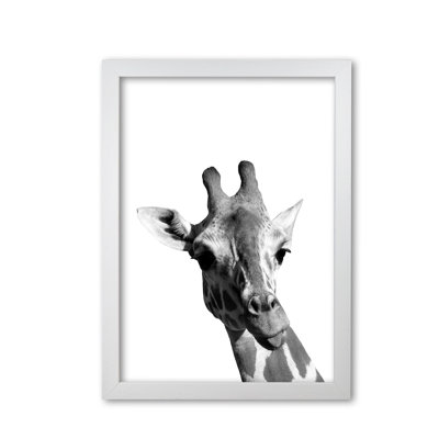 Giraffe - Print