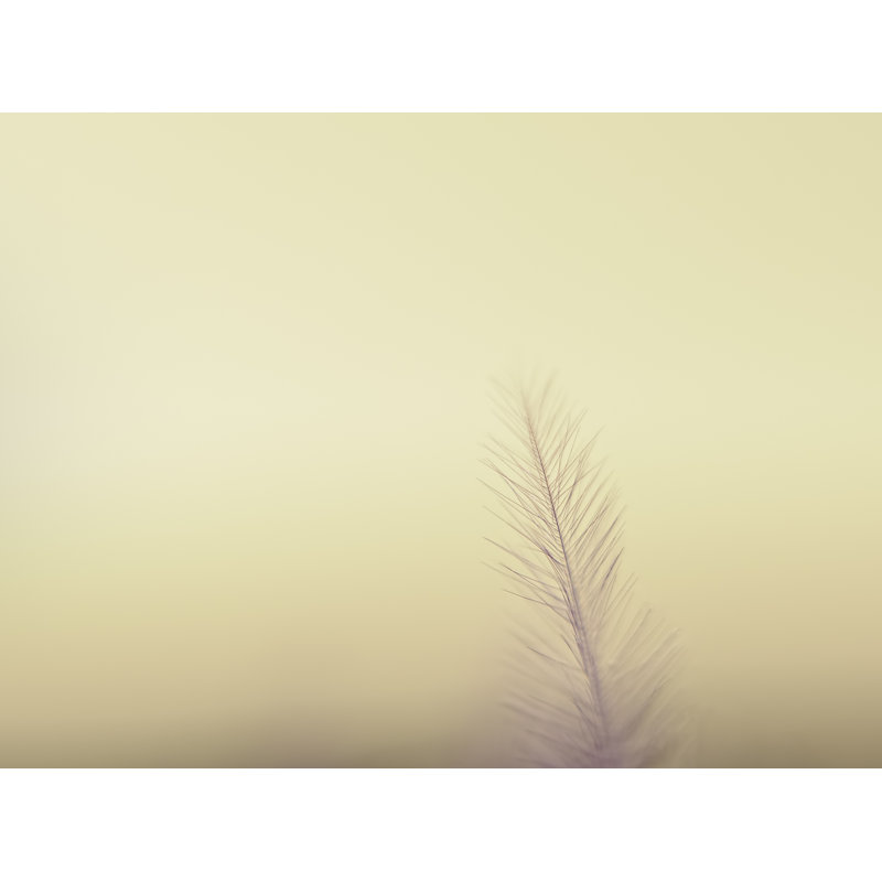 The Questions Worth Asking Print by Scott Norris, 17.25" H x 21.25" W x 0.875" D