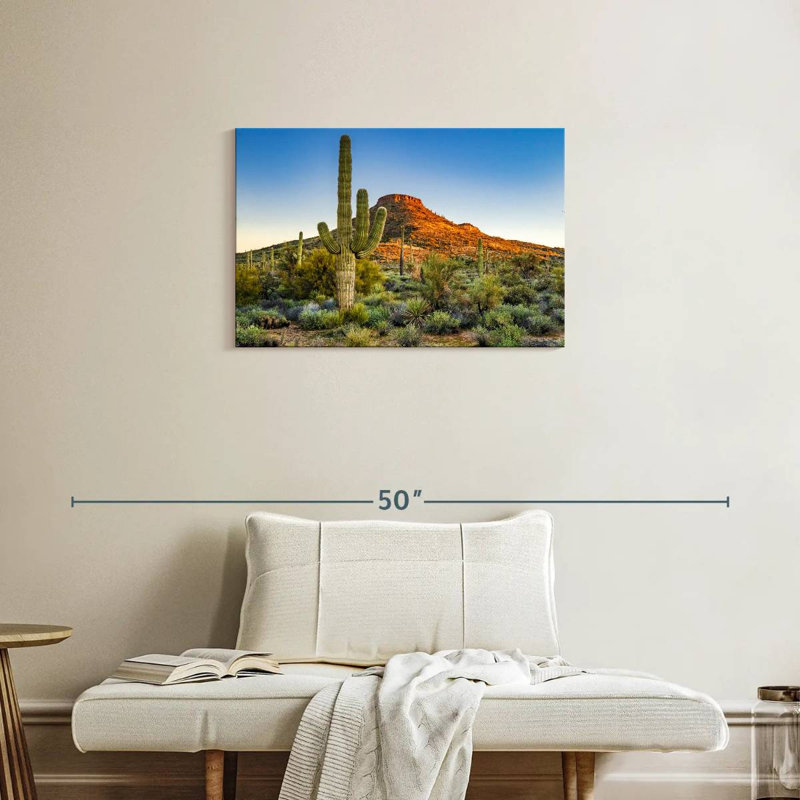 Sonoran Desert, 20" H x 30" W