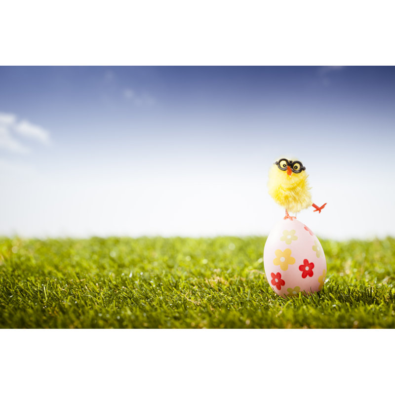 Balancing Chicken on Easter Egg - Grass Sky Nerd Humor, 51cm H x 76cm W