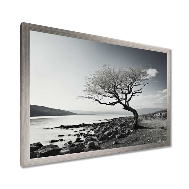Magnifique arbre en noir et blanc, photographie de lac - art mural lac, H 30 po x l 40 po x P 1,5 po, Cadre argenté