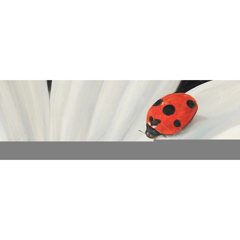 " White Daisy And Ladybug "