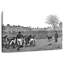 Rugby-457203800