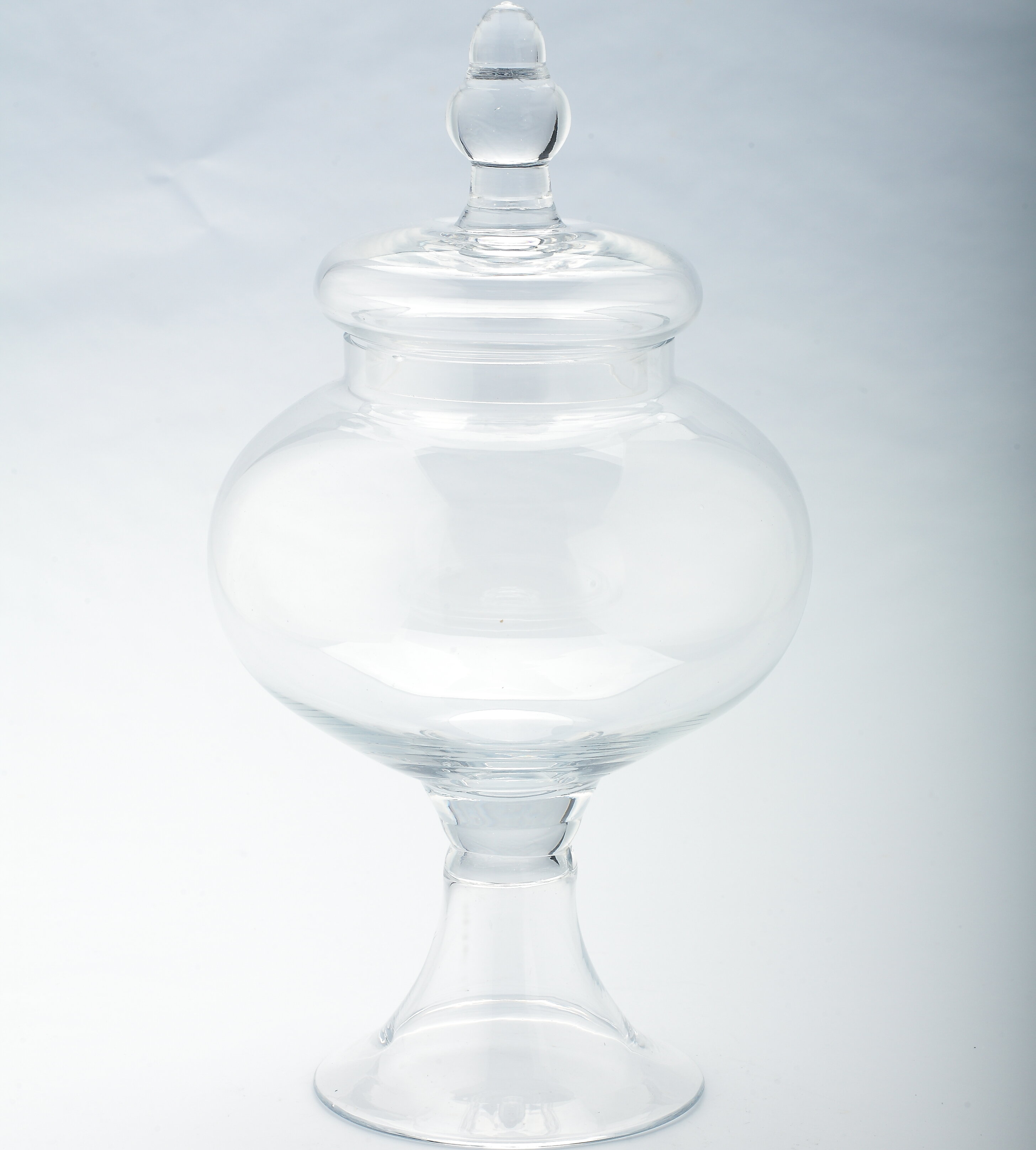 Willa Arlo Interiors 4 Piece Clear Glass Apothecary Jar Set & Reviews
