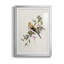 Spring Spring Pine Grosbeak - peinture encadrée-123802659-123802658