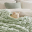 1 PC 50X60" Vivienne Faux Fur Throw-125133811