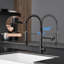 Robinet de cuisine de style commercial avec distributeur de savon, noir, acier inoxydable 304, un trou, poignée, rétractable, évier noir