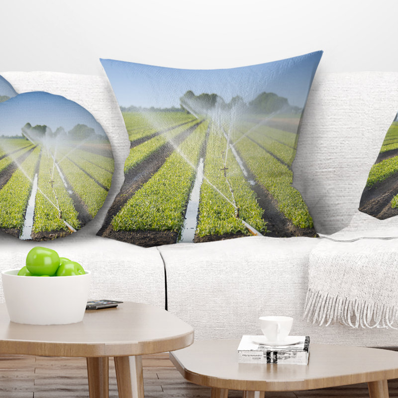 Coussin d'arrosage Schafer, 16 po x 1 po, Coussin décoratif
