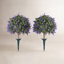 Tasmin Lavender Topiary with Base
