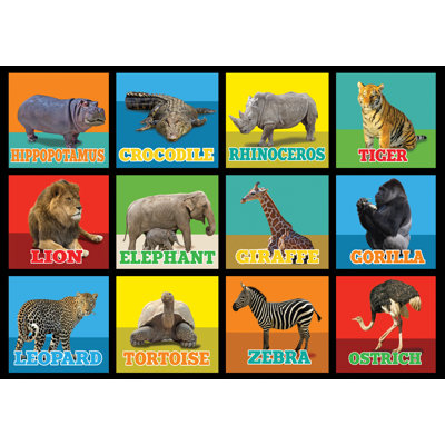 Tapis de classe KidCarpet.com à motif d'animaux carrés, 183 x 259 cm