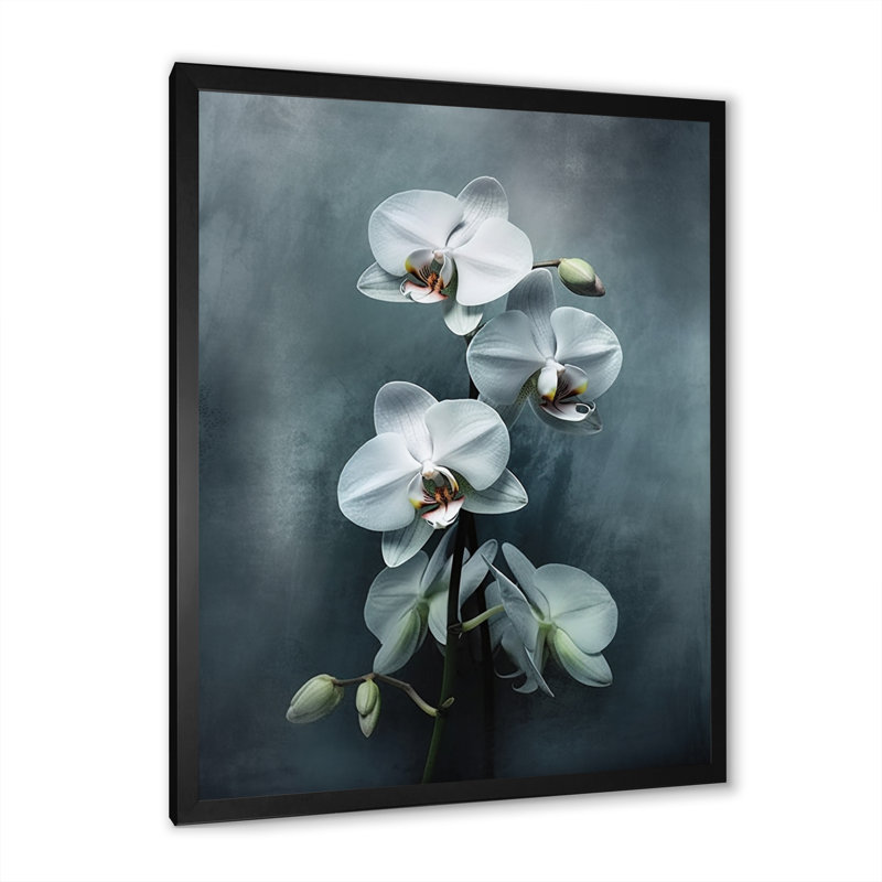 Orchidées exotiques blanches II, H 40 po x l 30 po x P 1,5 po, Cadre simple noir