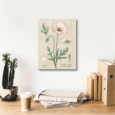 Epic Graffiti 'Poppy Chart Linen' by Sue Schlabach Canvas Wall Art