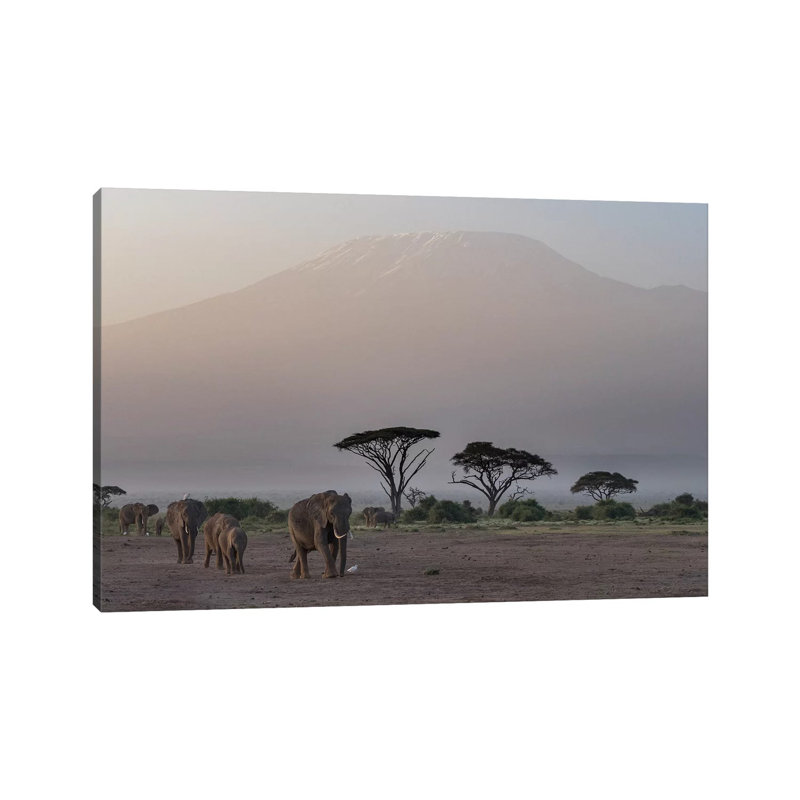 Africa, Kenya, Amboseli National Park. Elephants And Umbrella Thorn Acacia Trees. by Jaynes Gallery - Wrapped Canvas Painting