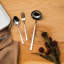 Linea Q Stainless Steel Serving Spoon