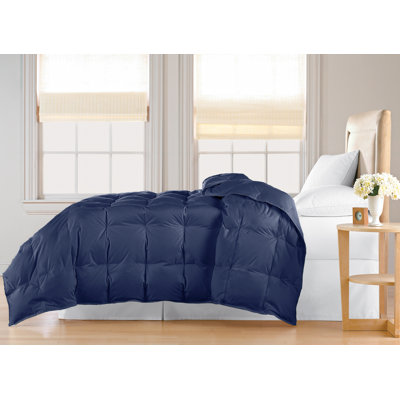 Comforter