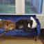 Photos des clients 1 de 1