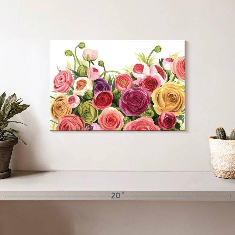 Panorama Harnek Ranunculus, H 8 po x l 12 po