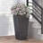 PLANTER-971135848