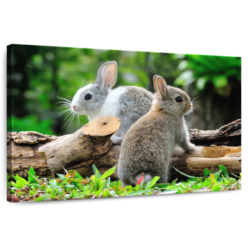 Brampt Garden Rabbits, 8" H x 12" W