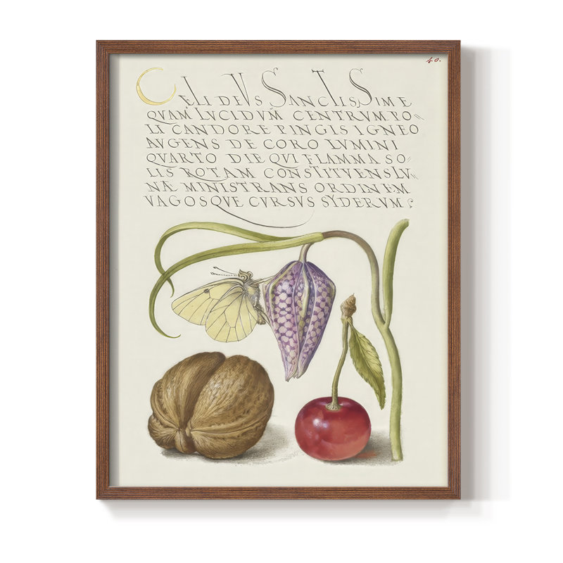 Reproduction encadrée Hoefnagel, spéculations tropicales - bois massif, H 21 po x l 17 po, Noyer