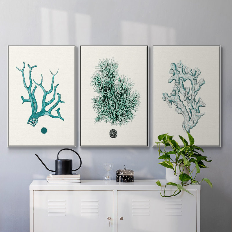 Ensemble de 3 pièces encadrées sur toile Antique Coastal Coral IV, Blanc, H 36 po x l 72 po