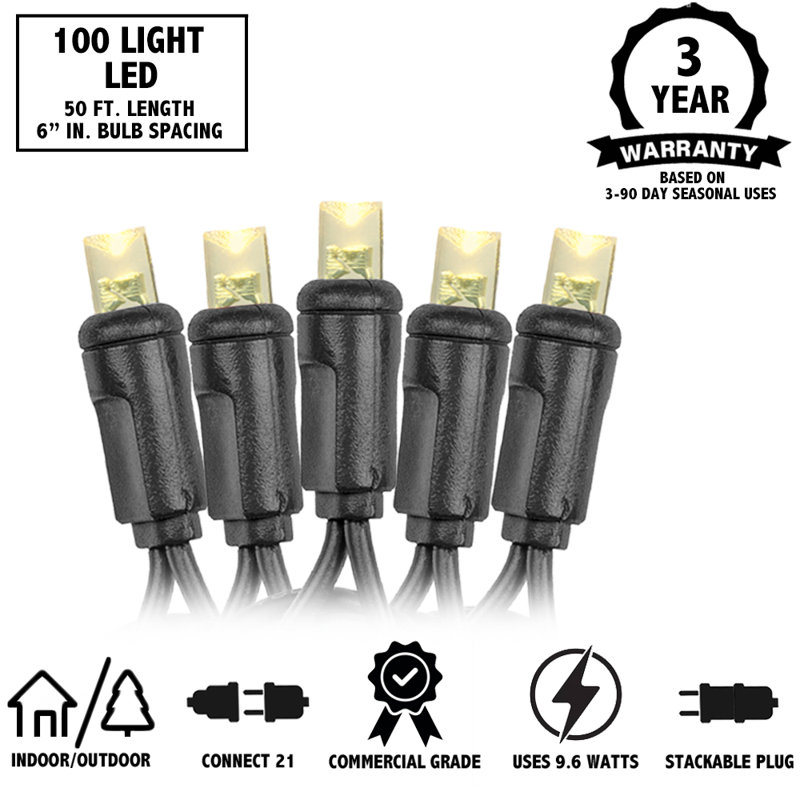 Outdoor 100 - Bulb 50'' Plug-in LED Wide Angle LED String Light, Pure White, Black
