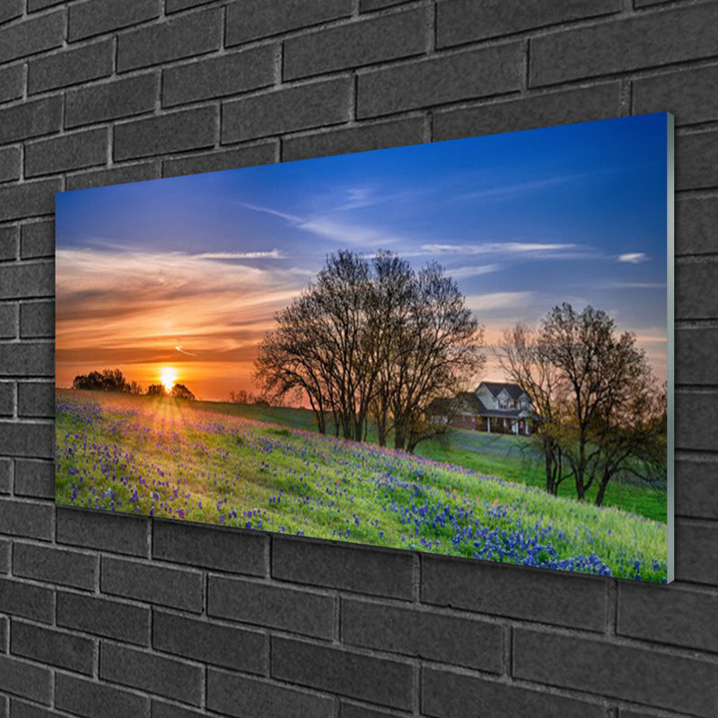 Glass Print Wall Art 100X50cm Image Printed On Glass Decorative Wall Picture Behind Toughened / Tempered Safety Real Glass For Kitchen & Living Room Theme: Meadow Sun Landscape