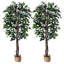 Faux ficus