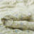 All Season Printed Down Alternative Comforter Set-102487076-103252176