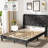 Mingo Upholstered Velvet Platform Bed-113084383