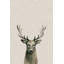 'Staring Buck II' Print on Wrapped Canvas-828674375