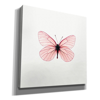 «Papillon rose» par PhotoINC Studio