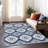 Malek Indoor/Outdoor Area Rug with Non-Slip Backing-503468616
