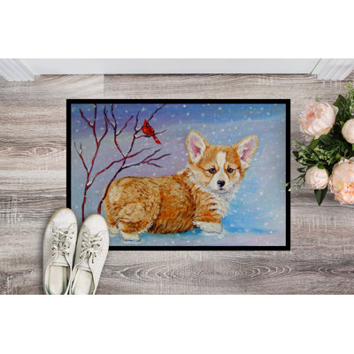Non-Slip Outdoor Doormat