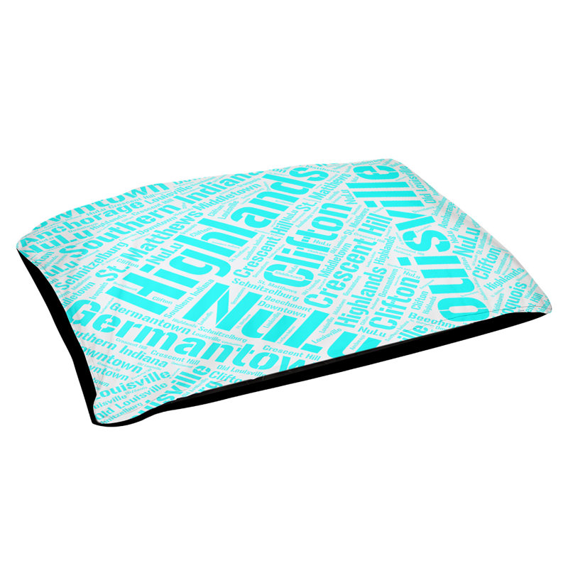 Oreiller rectangulaire designer, Moyen L 40 po x l 30 po, Cyan, Louisville