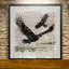 Birchbark Eagle - reproduction de cadre photo sur papier-258332814