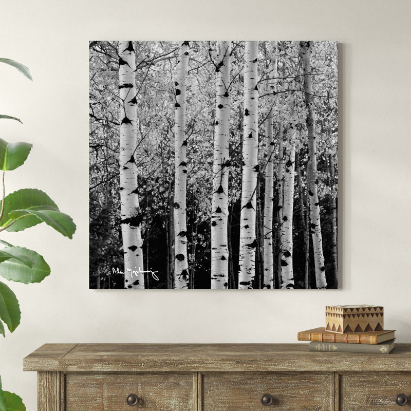 Les peupliers d'automne II (noir et blanc), H 36 po x l 36 po x P 1,25 po