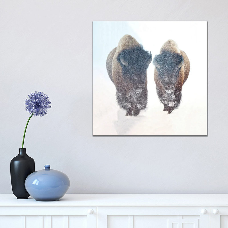 Two Bison In A Snow Storm by OLena Art - Wrapped Canvas Gallery-Wrapped Canvas Giclée