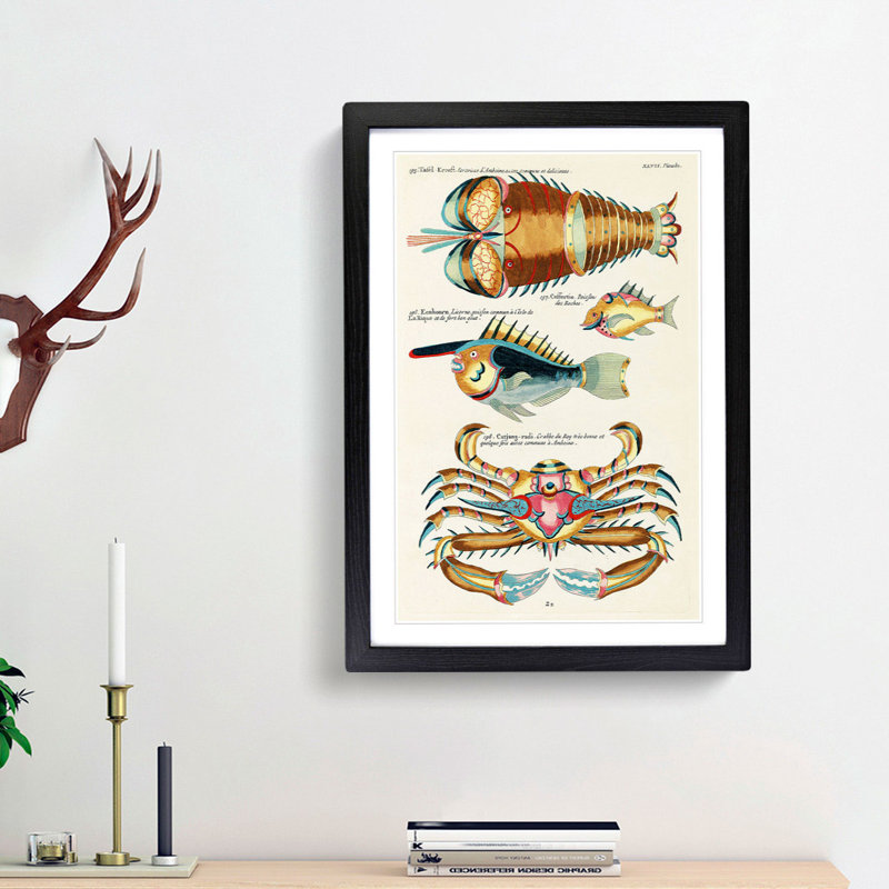 East Indies Lobster, Fish & Crab XLVII by Louis Renard - Picture Frame Graphic Art Print on MDF, 36cm H x 27cm W x 2cm D